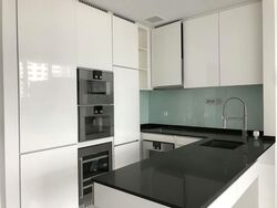 The Scotts Tower (D9), Condominium #555347661